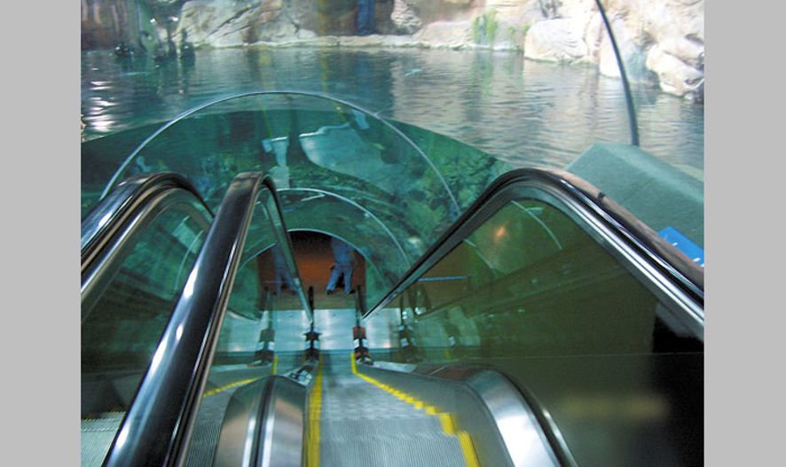 Ocean Aquarium