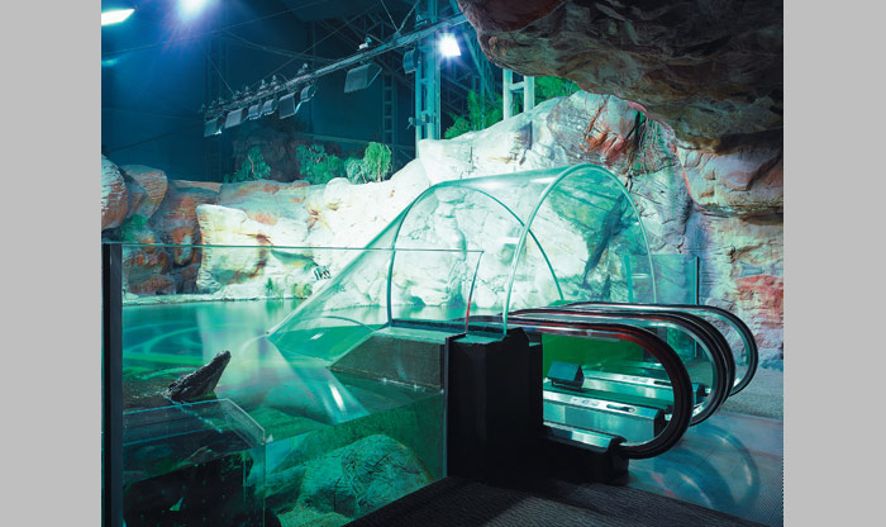 Ocean Aquarium