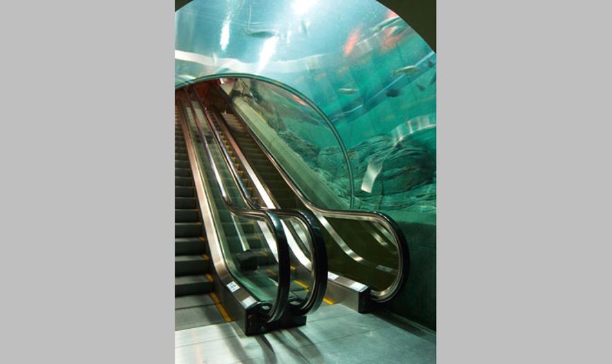 Ocean Aquarium