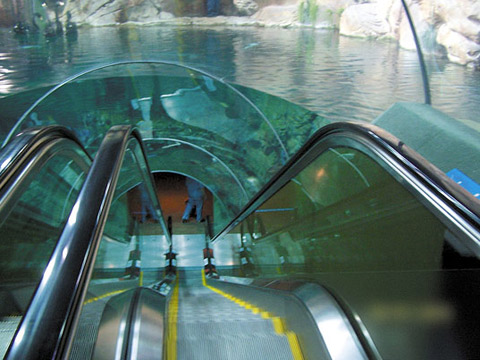 Ocean Aquarium